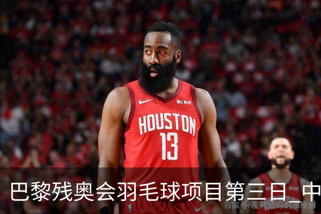 巴黎残奥会羽毛球项目第三日 中国队取得13胜3负